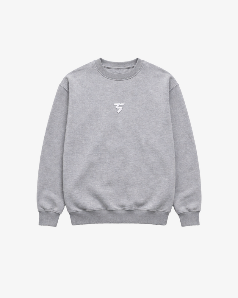 Heavy Oversized Embroidered Sweatshirt